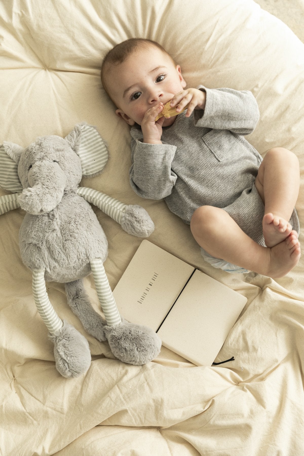 Elefante Noel Peluche · Deco · - Bruna