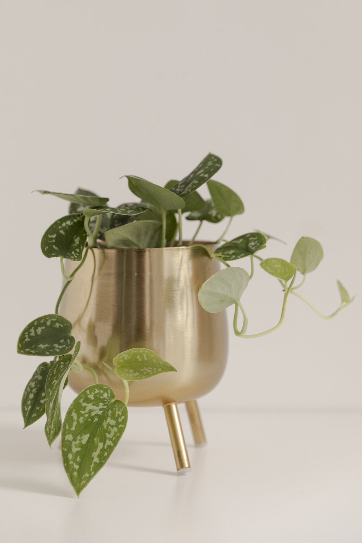 Set de 2 Maceteros Dorados Gardenia · Deco · - Bruna