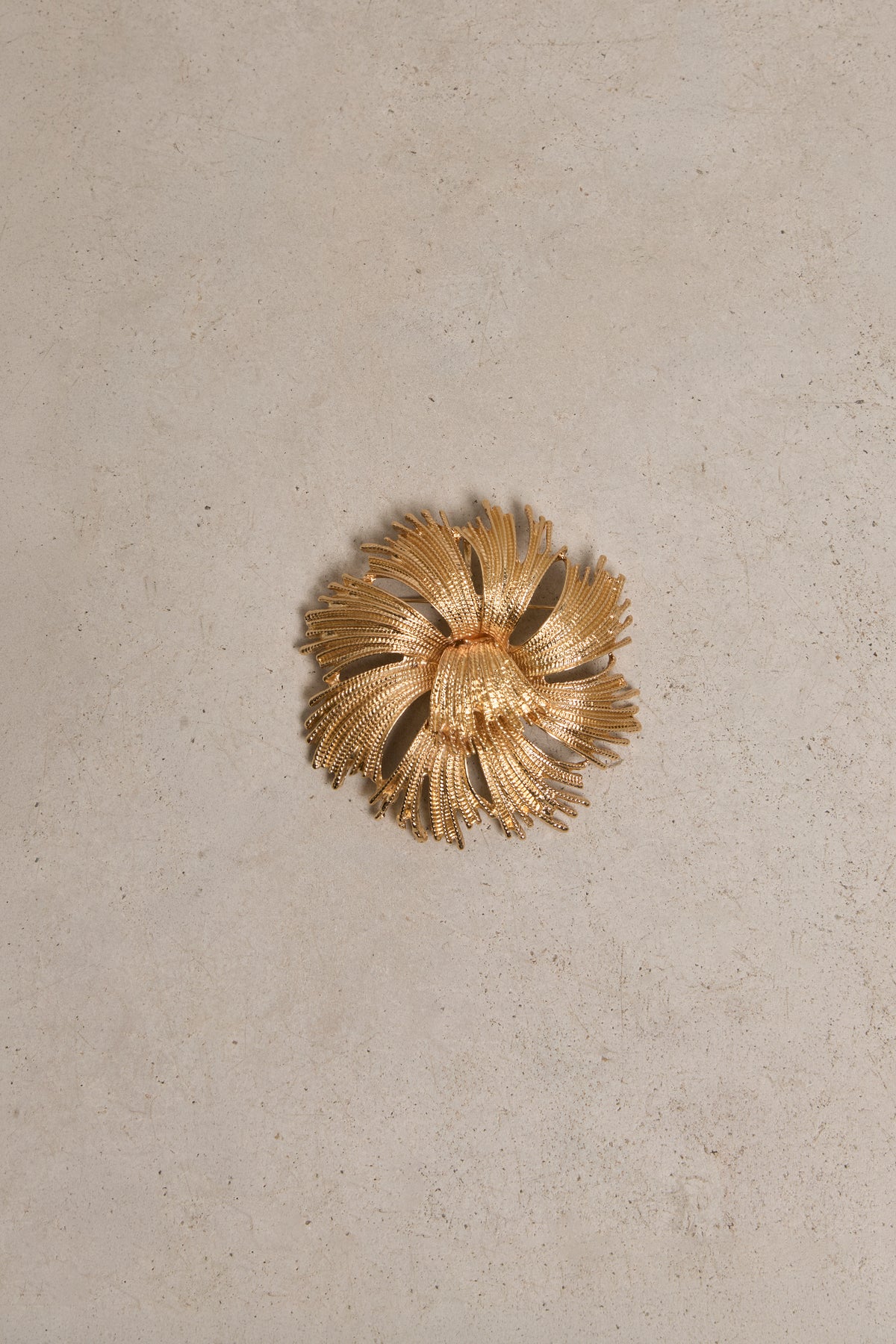 Broche Frisson · Le Marais ·