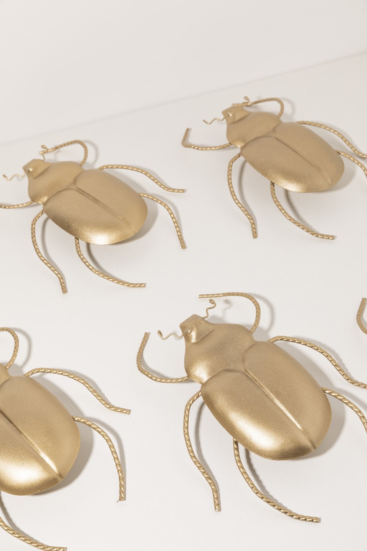 Escarabajo Lucky Grande · Deco · - Bruna